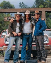  | Pasion de Gavilanes |   